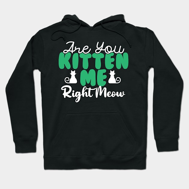 Are You Kitten Me Right Meow Hoodie by pako-valor